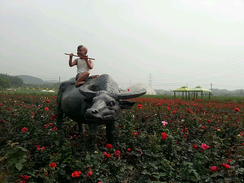 2015盈香生态园_旅游攻略_门票_地址_游记点