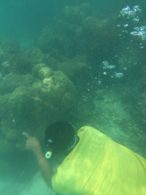 麻烦各位大哥发一个国岛片的网址 谢谢了!