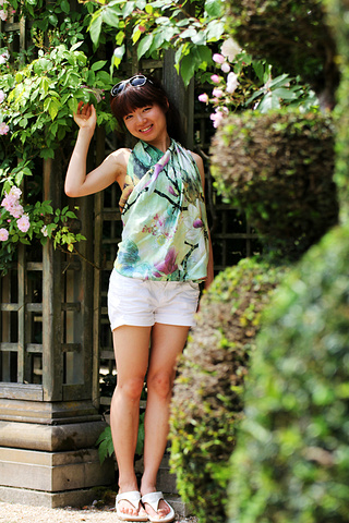 2016凡尔赛花园中的林木被修剪的很有特点_凡