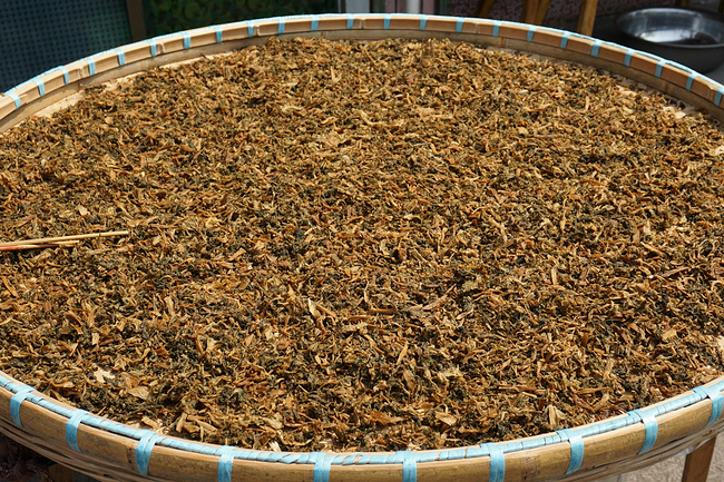 毕业旅行--江南古镇游_嘉兴旅游攻略