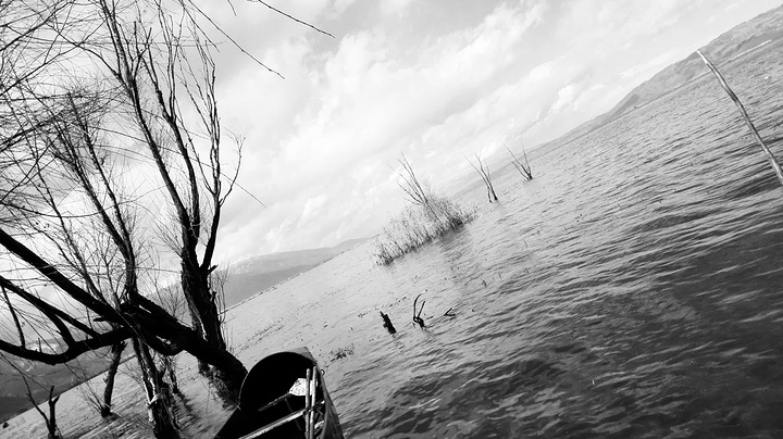 2015这里是古城附近,环海西路,这个景色是醉了