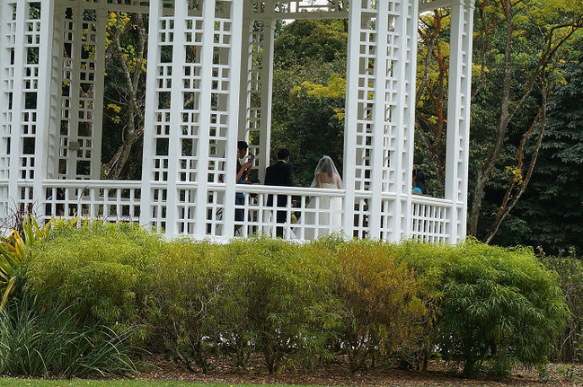 心新相印--新加坡、印尼自由行_新加坡旅游攻略