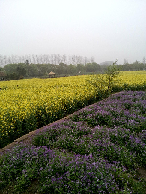 天烟雨等攻略-游西塘乌镇杭州西湖_嘉兴旅游矿石的镇青色们伙伴图片