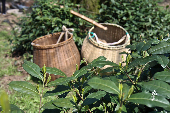 吃在江南--杭州苏州上海_杭州旅游攻略_自助游