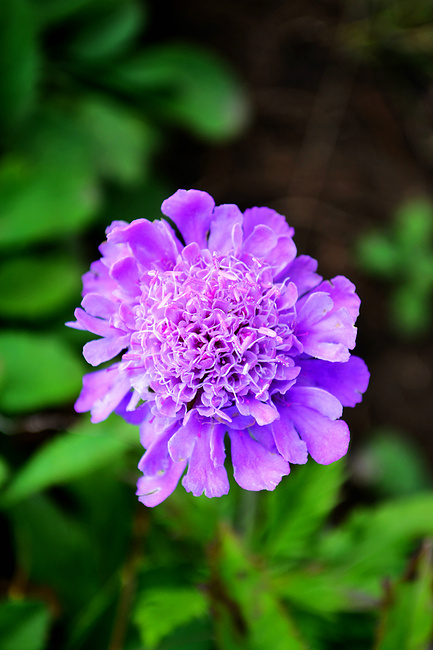 涞源空中草原、白石山2日_保定旅游攻略_自助
