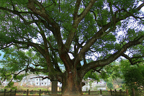 2015【上饶旅游攻略】上饶自助游_周边游攻略