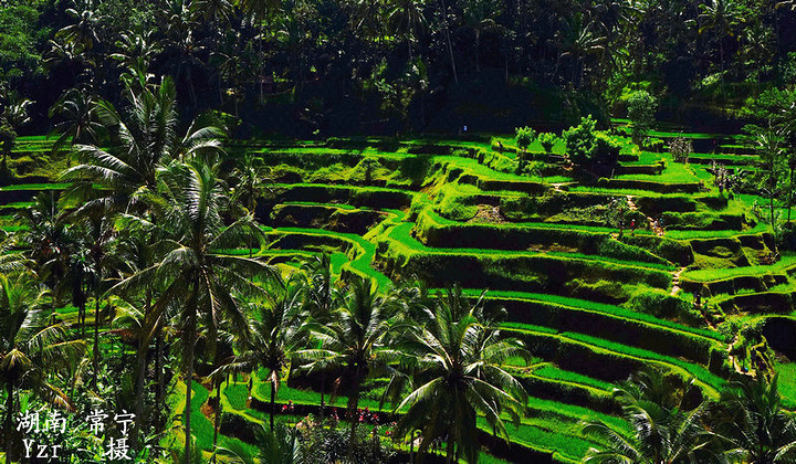 2016德格拉朗梯田,我谓之为“放大的盆景”,确_德格拉朗梯田评论 - 去哪儿攻略社区