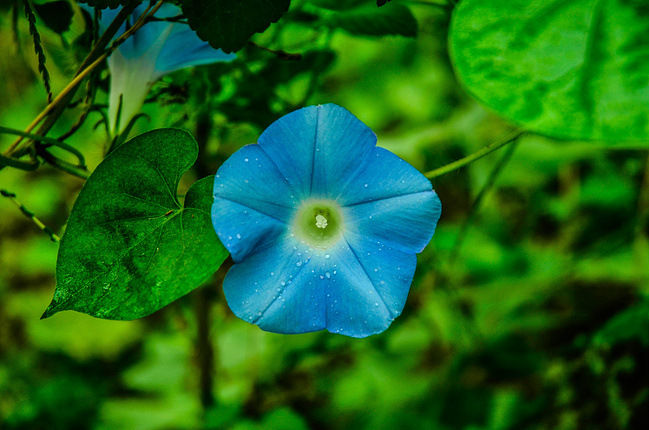 游黄河风景区_郑州旅游攻略
