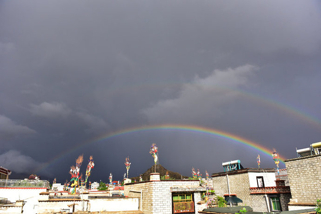 恰是拉萨花香四溢_拉萨旅游攻略