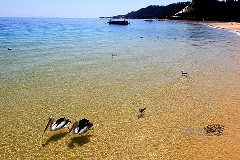 2015【布里斯班旅游攻略】布里斯班自助游_周