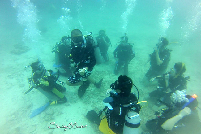 在泰国龟岛学潜水的日子_苏梅岛旅游攻略