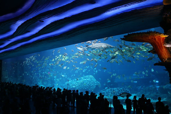 【实用游玩线】两天一夜免排队玩透珠海长隆_