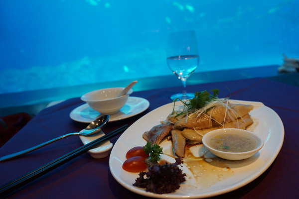 【实用游玩线】两天一夜免排队玩透珠海长隆_