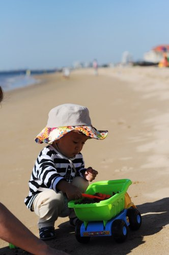 带娃游北戴河,观海,看动物,尝海鲜-游记攻略-旅