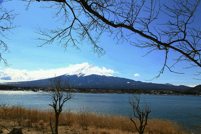 日本南来北往之旅--富士山北海道_东京旅游攻