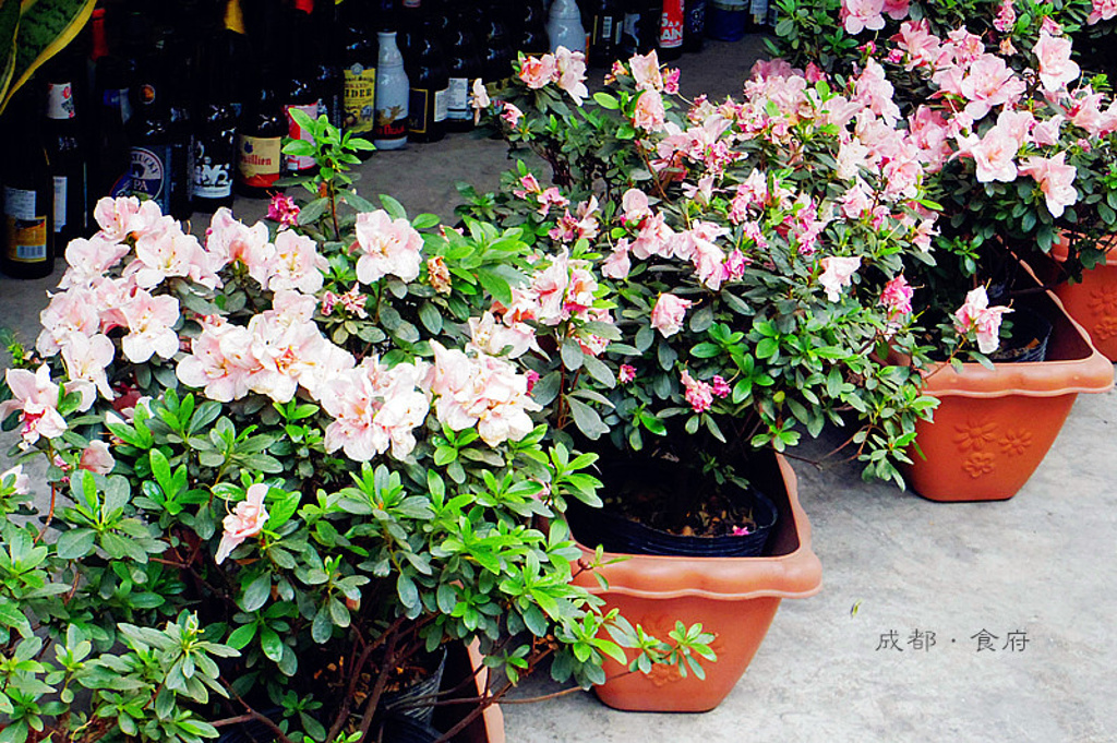 2016小通巷_旅游攻略_门票_地址_游记点评,成