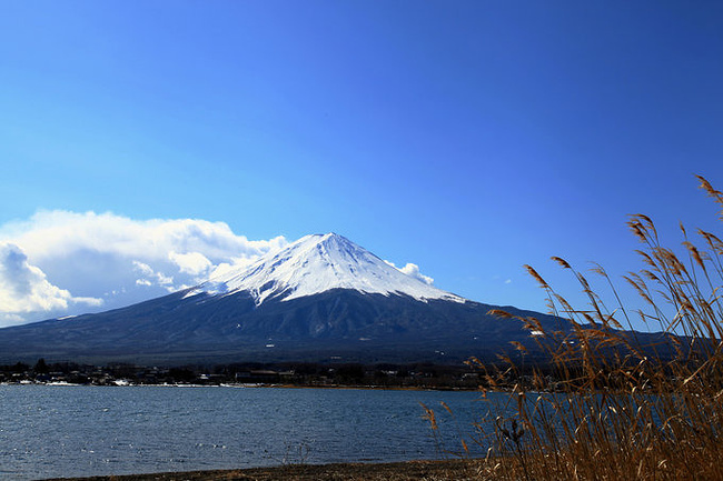 日本南来北往之旅--富士山北海道_东京旅游攻
