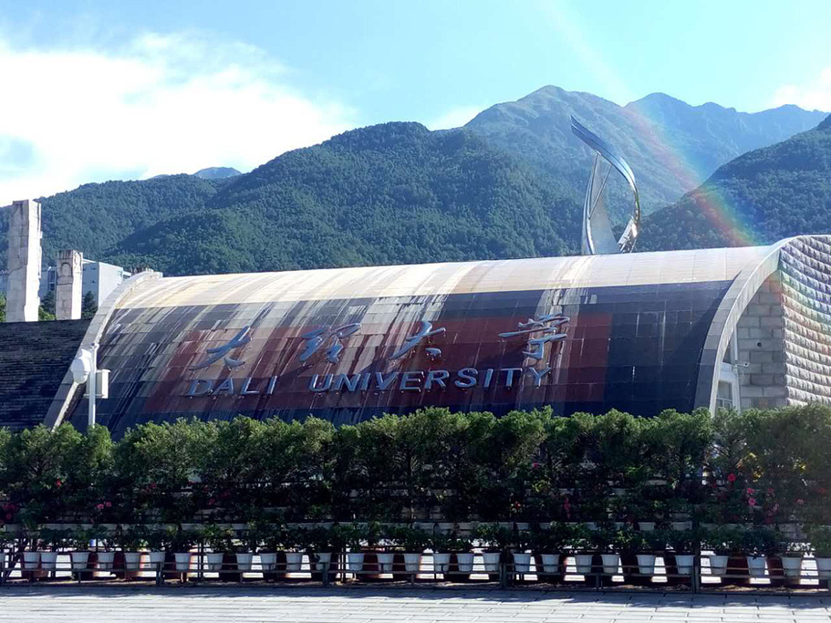 大理大学