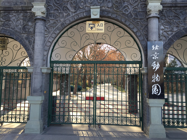 北京动物园图片