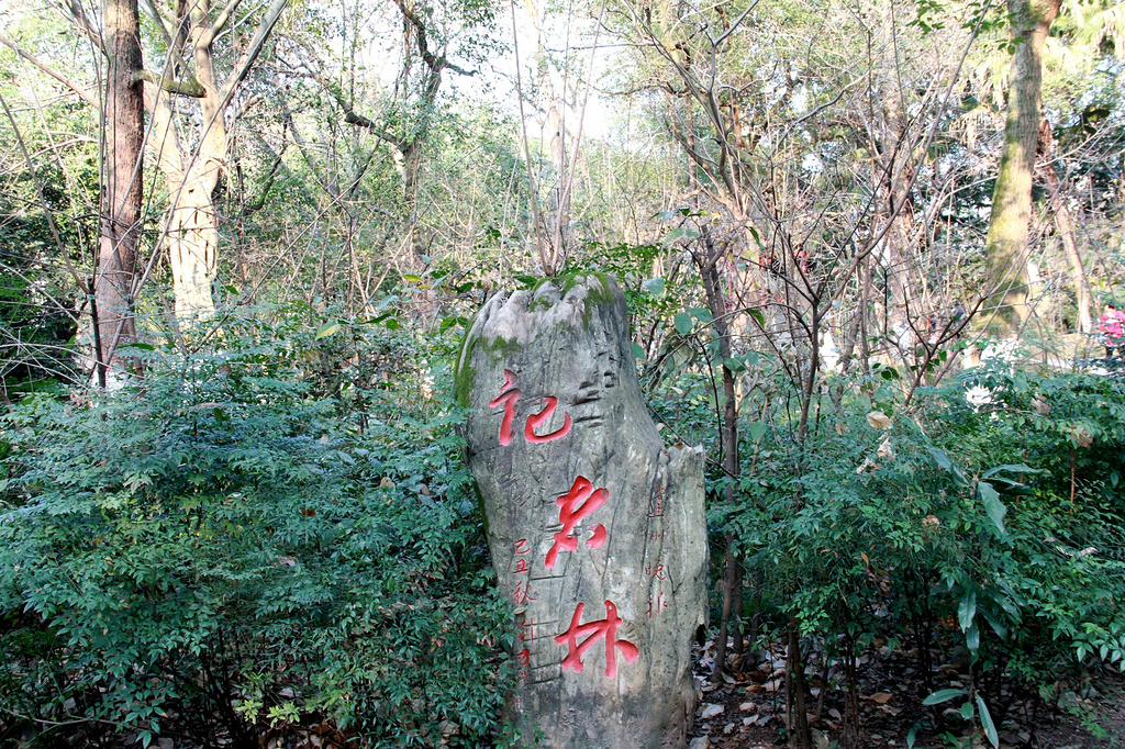 2016达州人民公园_旅游攻略_门票_地址_游记