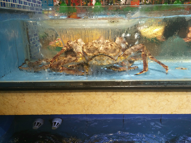 今天去三亚千古情看表演,听说很爽,门票昨天晚