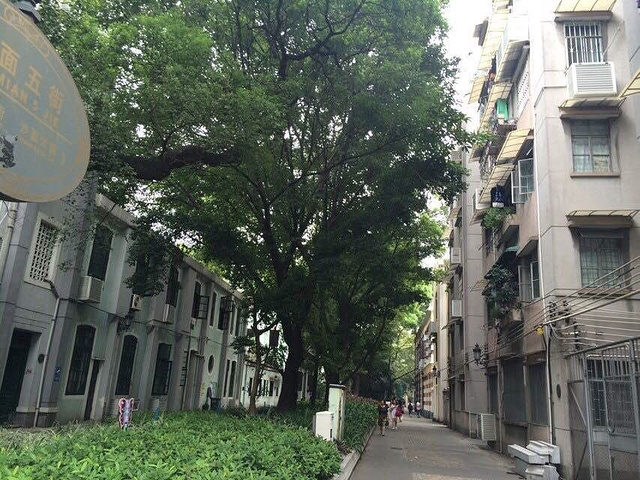 廊式、新古典式及中西合璧森林建筑,是广州最图文攻略流程风格图片