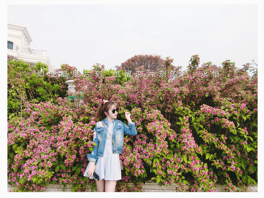 【妮妮in青岛】四天玩转新老城区加崂山