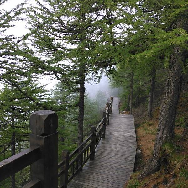 太白山_v游记游记_特色_攻略_民族点评,眉县旅地址美食哈门票图片