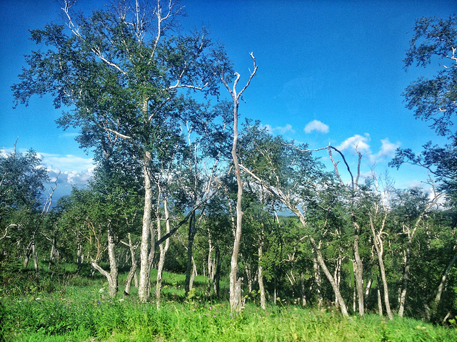 车买保险要多少钱 车险车多少钱