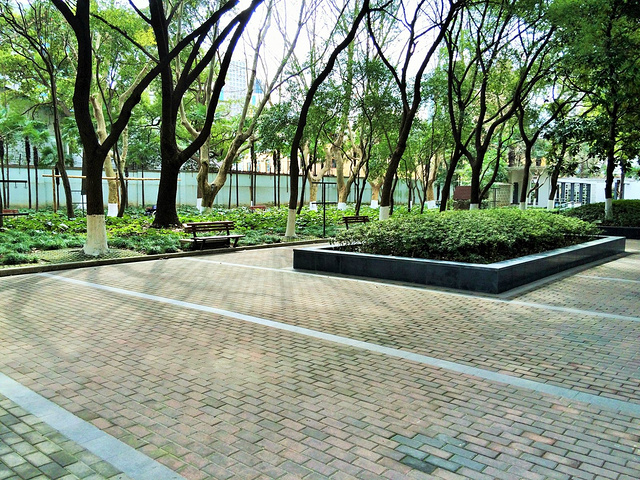 公园非常整洁安静,四周中高档居民区环绕,毗邻市中心,如果有时间想