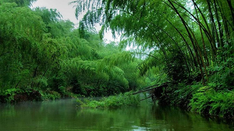 蜀南竹海旅游景点攻略图