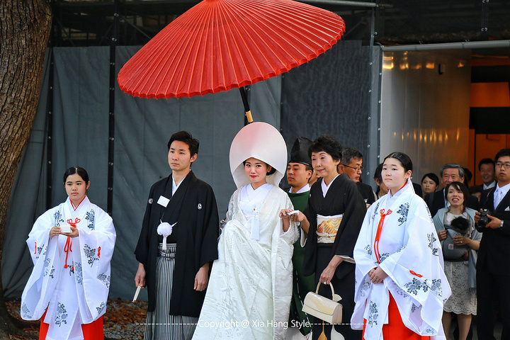 日本很多偶像明星的成人礼就在此举行吸引了不少拥趸追访而明治神宫