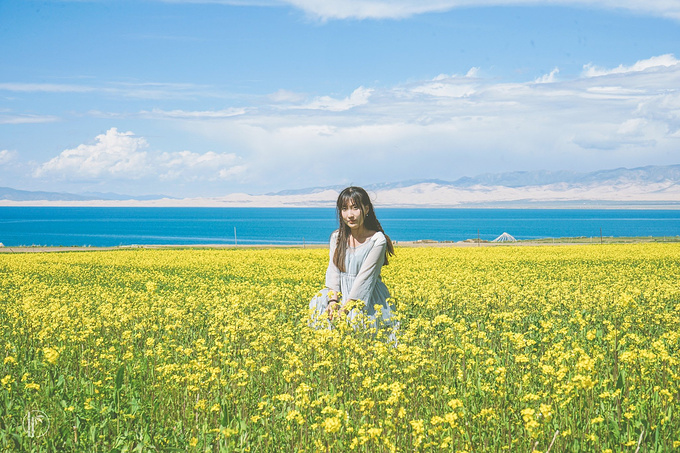 青海湖门票在哪里买
