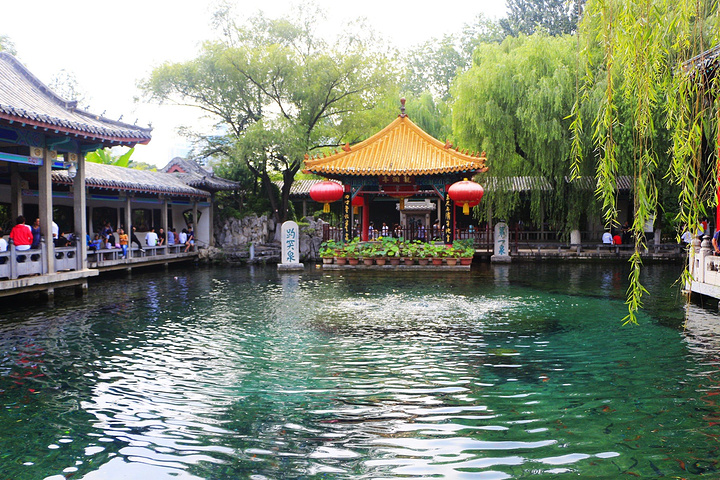 趵突泉泉池呈长方形,东西长三十米,南北宽二十米,周围绕以石栏。池边俯视,一泓碧水,清如明镜;三泉涌涛,喷雪溅玉;势如鼎沸,声若雷鸣;水草袅袅,鱼翔浅底;绿叶红鳞,辉映其间。济南“家家泉水,户户垂杨”的独特景色是怎么形成的呢?济南的泉水,来源于济南市区以南,锦绣川以北的广大地区,这些地区的岩石是约四亿年以前形成的一层很厚的、质地比较纯粹的石灰岩。这种石灰岩地区,地表有溶沟、溶槽,地下有漏斗、溶洞、暗河以及钟乳石,便于大量的雨水和地表水渗入地下。山区的石灰岩层,以大约三十度的斜度,由南