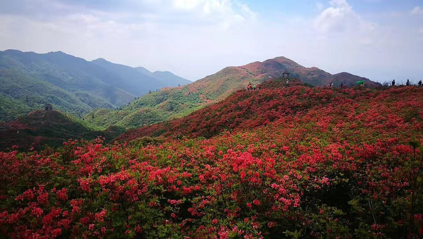 大围山森林公园