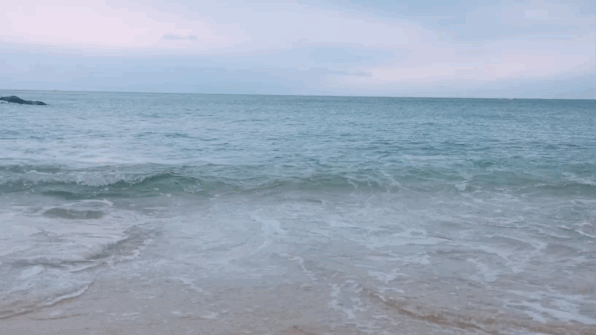 阳光温柔,海会呼吸(台湾十五日梦游记)