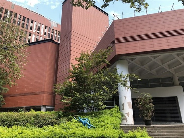 川美的老校区不是很大不过相对于新校区来说这份年代感更值得怀念吃完