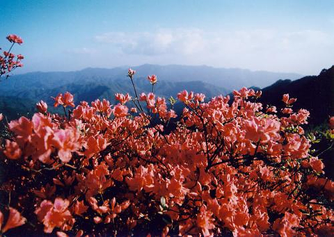 阳明山国家公园_旅游攻略_门票_地址_游记点