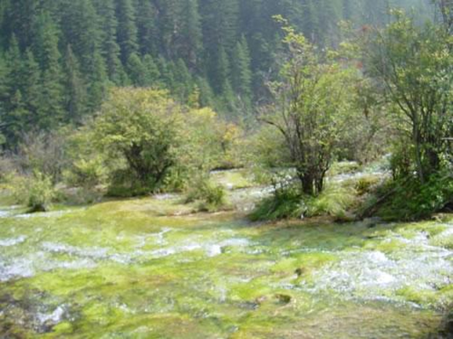 2014九寨春色,是水的精灵,九寨沟的春天冰雪融