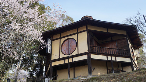 2014奈良公园_旅游攻略_门票_地址_游记点评