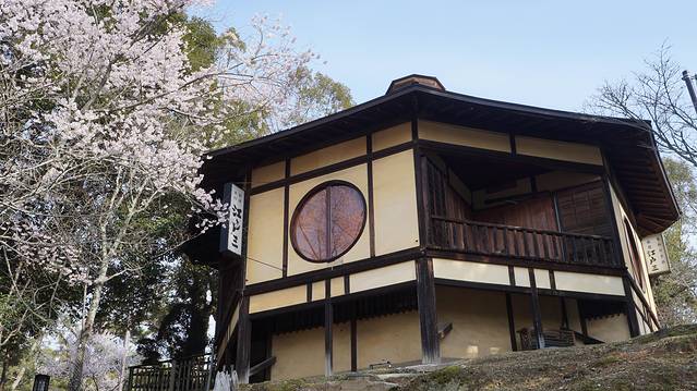 浪漫四月樱花现,动漫天堂秋叶原。