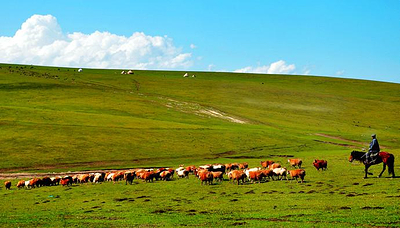 伊犁、乌鲁木齐3日游_伊犁旅游攻略