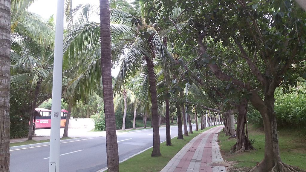 晚上依照很多人推荐的前往百花谷必胜客吃饭_