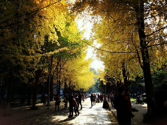 女屌们的成都4天游_成都旅游攻略