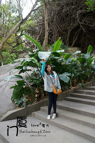 2015厦大,才子、佳人、文艺小青年的积聚之地