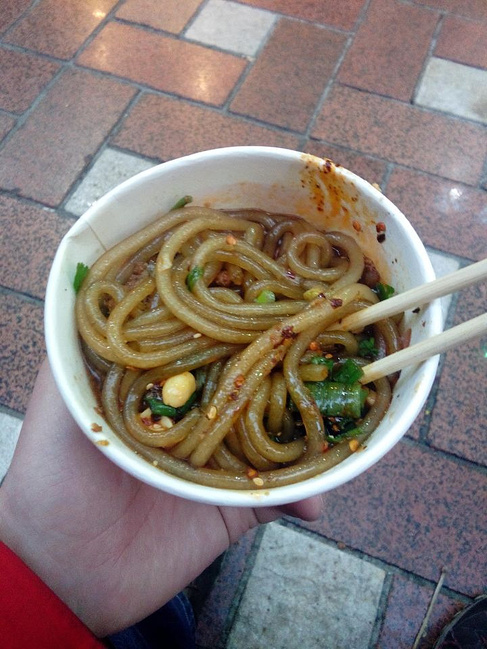 2015年1月成都峨眉山重庆6日游_乐山旅游攻略