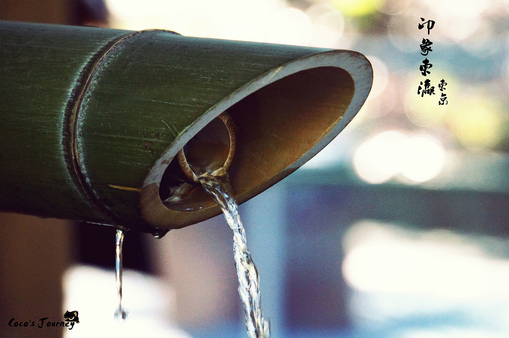 2015明治神宫是供奉明治天皇和昭宪皇太后灵