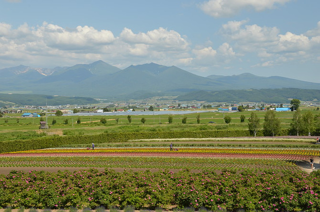 六月的北海道之旅(更新中)_札幌旅游攻略