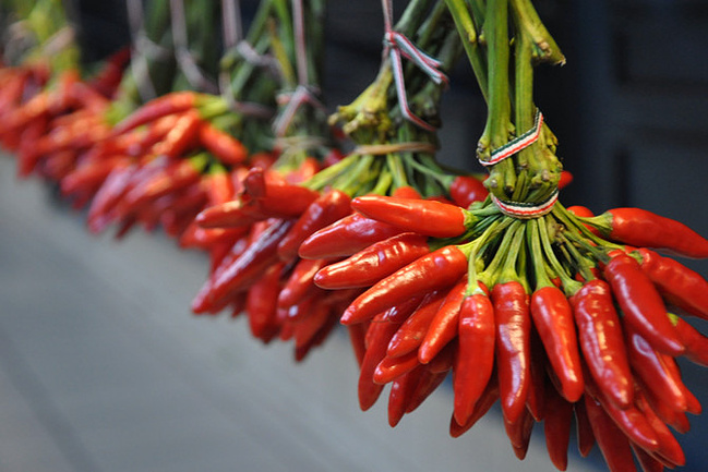 国庆捷克匈牙利逛吃逛吃小深度游_布拉格旅游