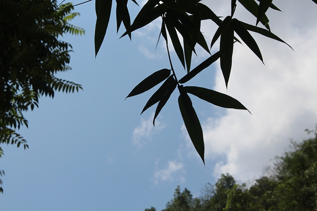 青春6人行之千元穷游尼泊尔_蓝毗尼旅游攻略